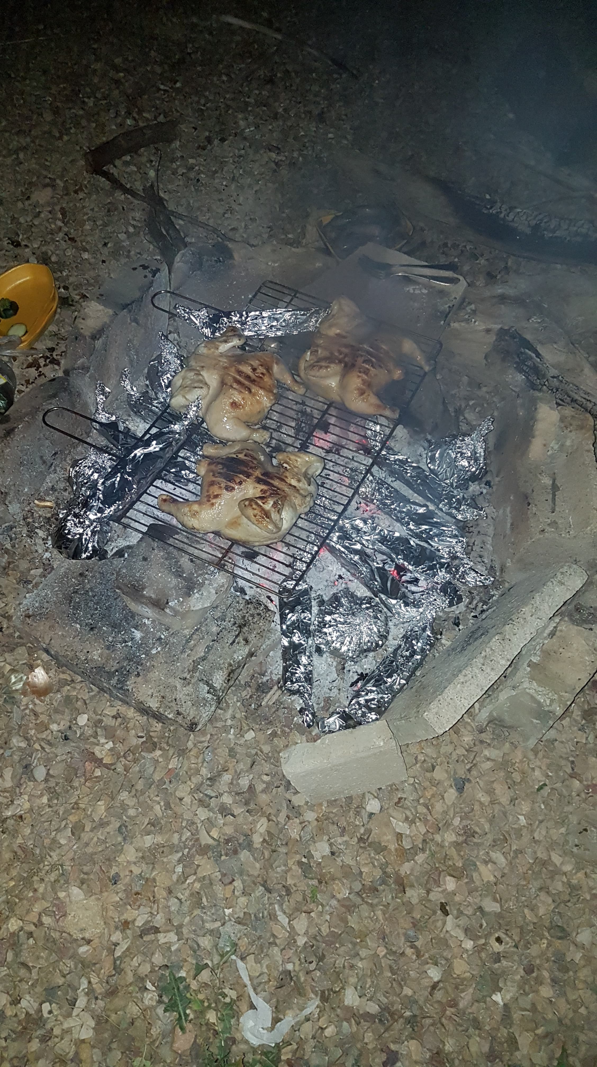 Barbecue-au-bord-du-lac-de-Yesa